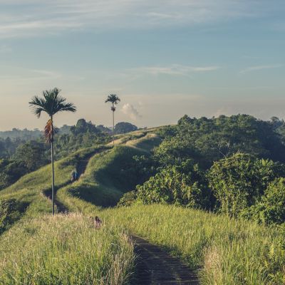 Impression aus Bali, wo Dr. Breyer beim Kongress der Asia-Pazifischen-Refraktivchirurgen das Düsseldorfer Schema präsentierte.